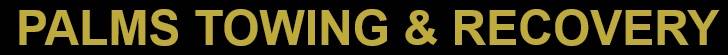 Palms Towing & Recovery Logo 1 Line